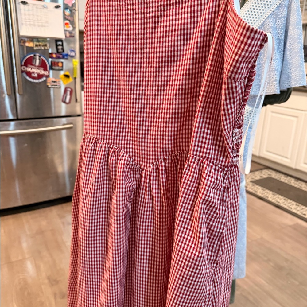 Japna Red Gingham Midi Dress - Picture 8 of 9